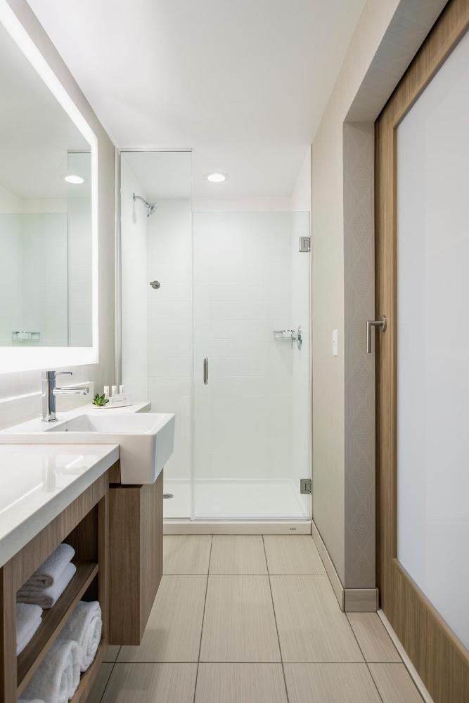 1 Bedroom Larger Suite, 1 King, Sofa bed interior
